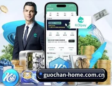 国产视频导航 APP 深度功能