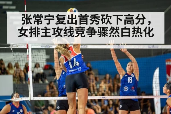 volleyball match action